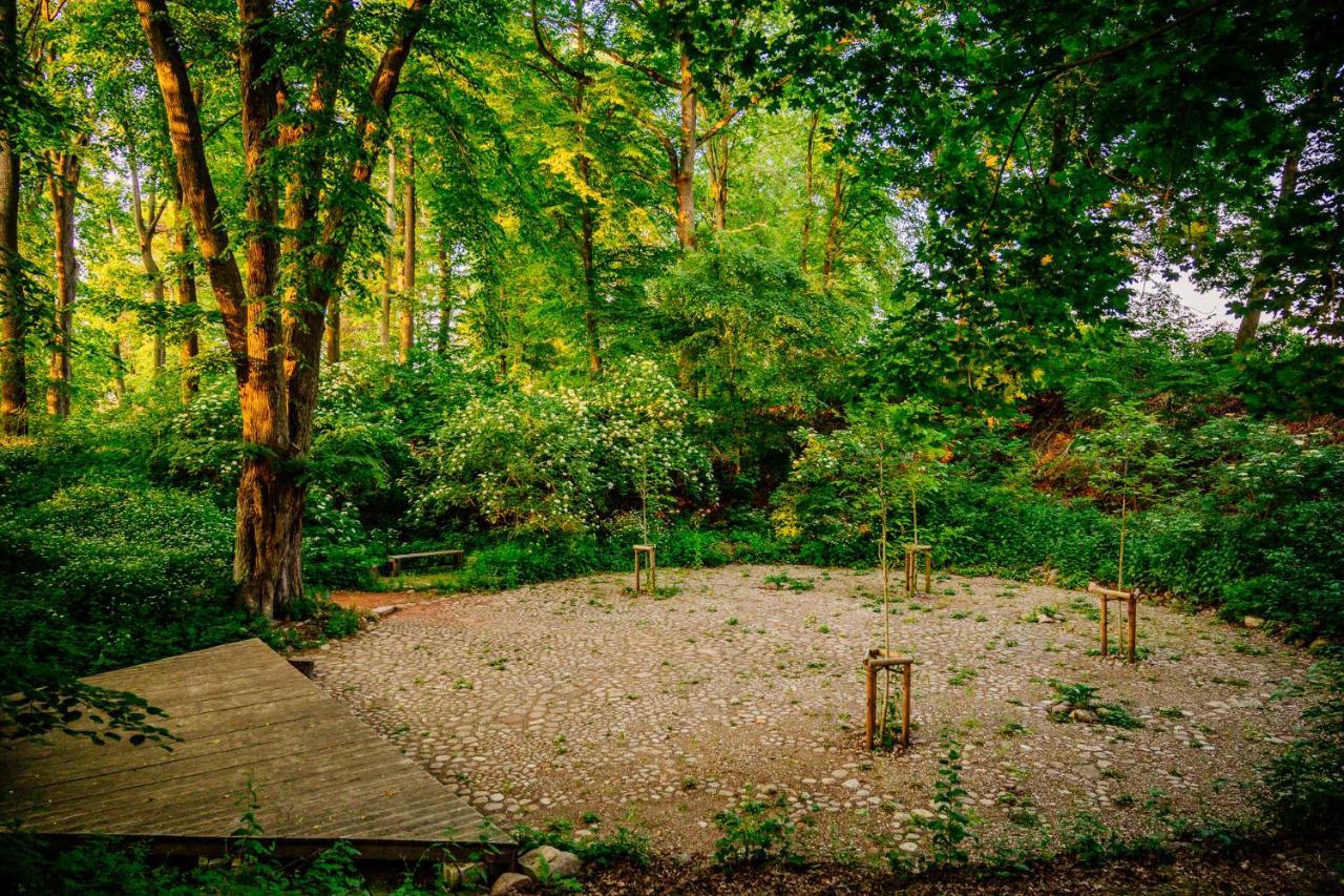 Gut Boltenhof Fürstenberg-Havel Exteriér fotografie